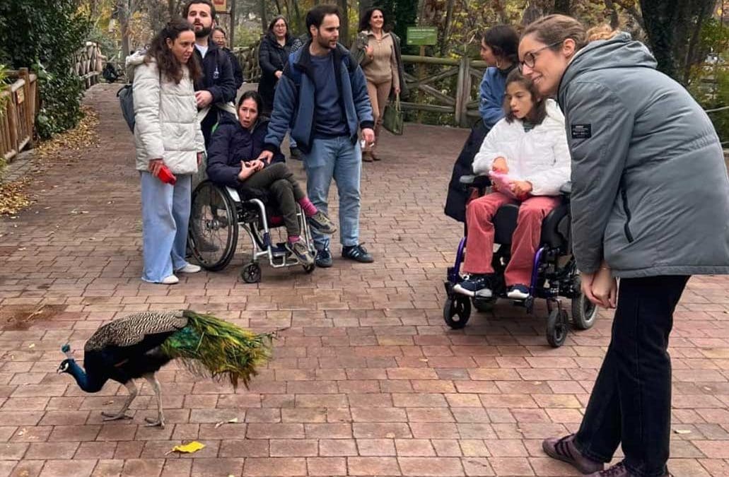 Actividades de ocio para personas con discapacidad severa