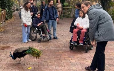 Actividades de Ocio, una pieza fundamental para el bienestar de nuestros chicos